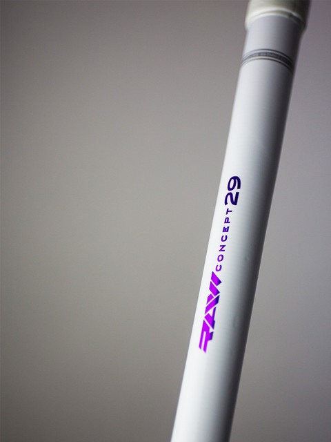 Fatpipe Stick RAW Concept 29 - JAB PPB (22/23)