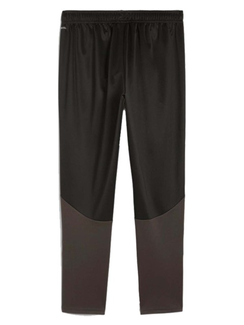 Puma Training Pant teamGOAL (Fagerhult Habo IB)