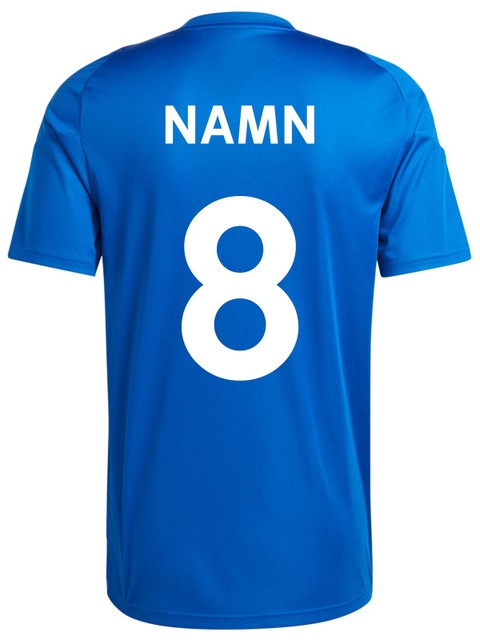 ADIDAS PLAYER KIT (TIRO24 HZ + ENTRADA22) (Hagunda IF)