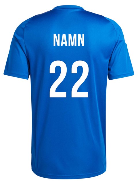 ADIDAS PLAYER KIT (TIRO24 HZ + ENTRADA22) (Hagunda IF)