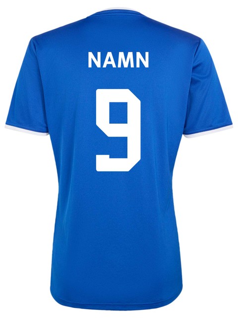 Adidas T-shirt ENTRADA26 (Hamburgsunds IF)