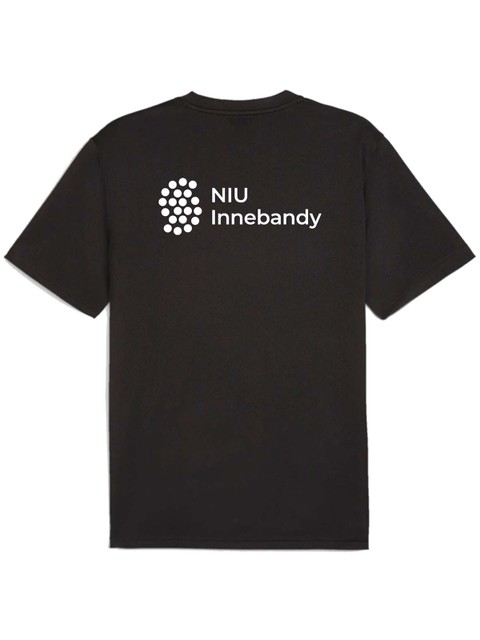Puma T-shirt teamGOAL (Hulebäcksgymnasiet)