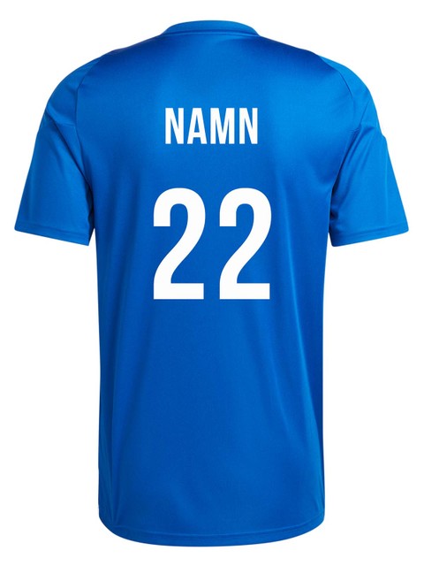 Adidas T-shirt TIRO24 (IK Sirius IBK)