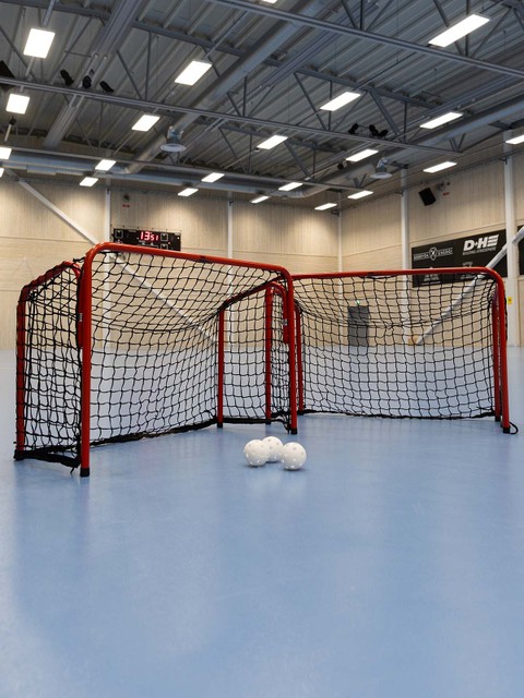 HOME-TRAINING-PACKAGE: GAME MINI