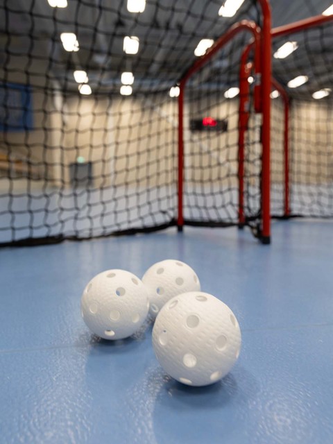 HOME-TRAINING-PACKAGE: GAME MINI