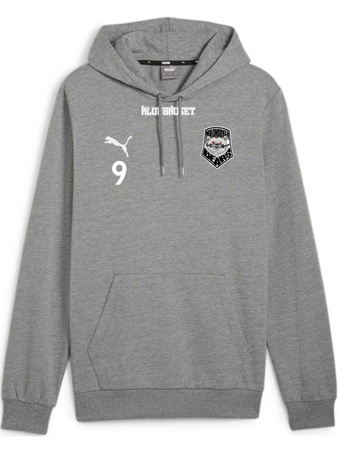 Puma Hoodie teamGOAL Casuals (Nordmarkens IBF)