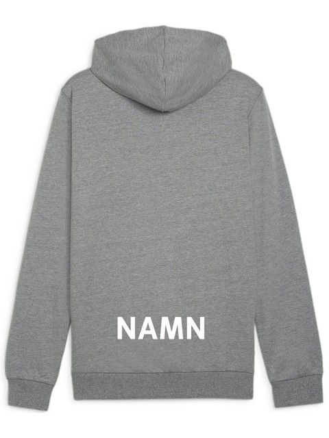 Puma Hoodie teamGOAL Casuals (Nordmarkens IBF)