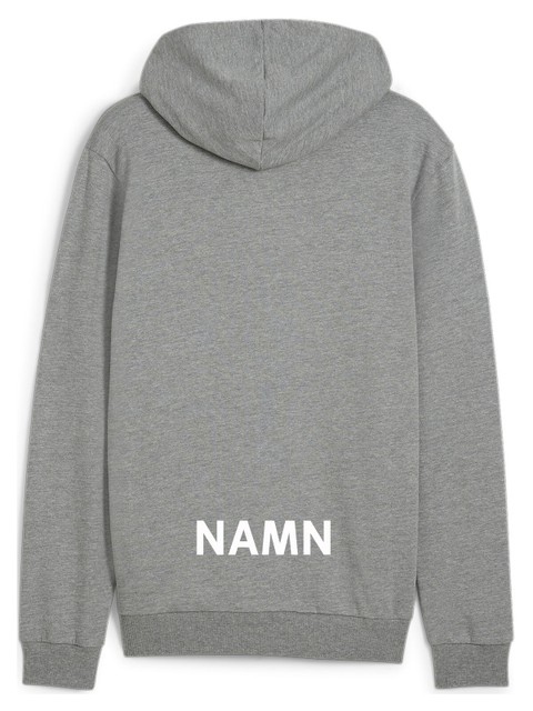 Puma Hoodtröja teamGOAL Casuals FZ (Nordmarkens IBF)