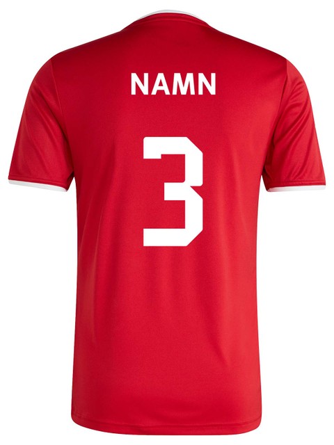 ADIDAS MATCH KIT ENTRADA26 - Röd