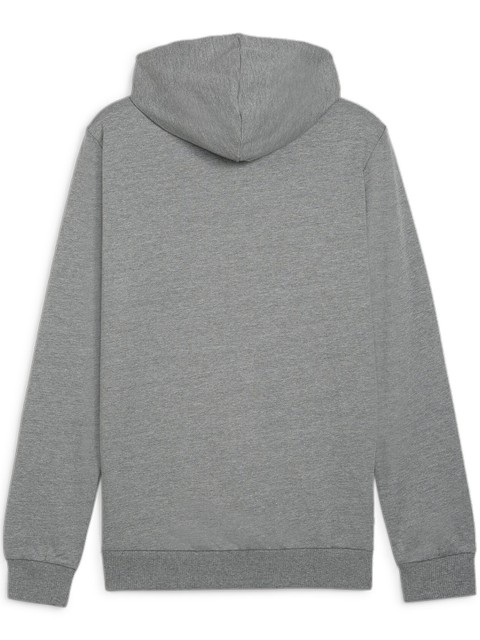 Puma teamGOAL Casuals Hoody