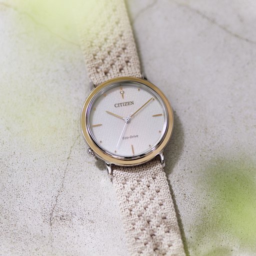 Citizen EM1006-40A Limited Edition 10th anniversary rannekel