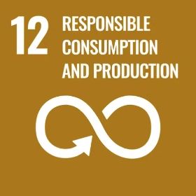 global goals no 12 responsible consumption and production