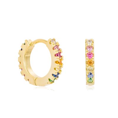 Earrings Rainbow Medium