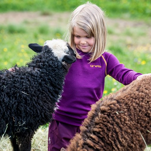 Barn leker med får i ullunderställ från Gneis