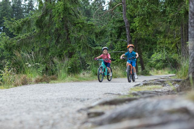 Kaksi lasta pyöräilee koulumatkaa.