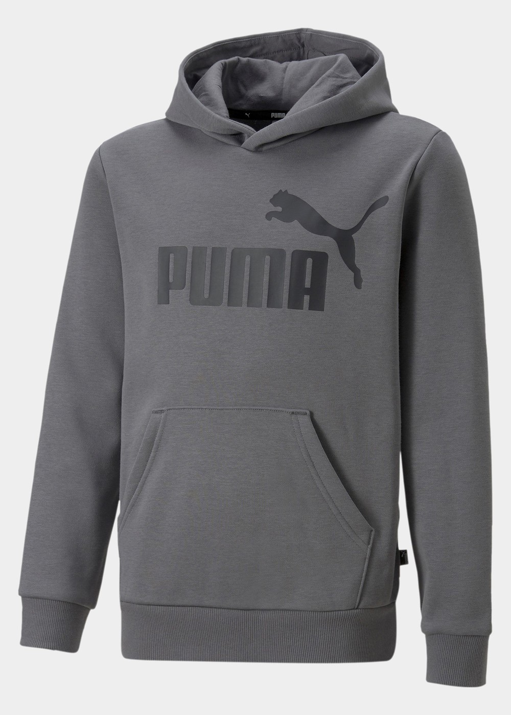 Ess Big Logo Hoodie Fl B, Castlerock, 116,  Hoodies