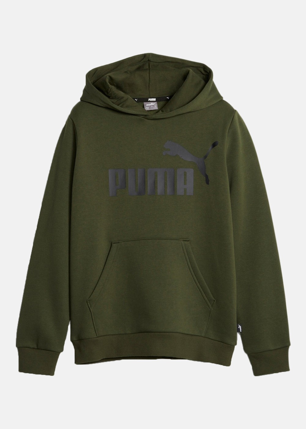 Ess Big Logo Hoodie Fl B, Myrtle, 116,  Hoodies Ess Big Logo Hoodie Fl B, Myrtle, 116,  Hoodies