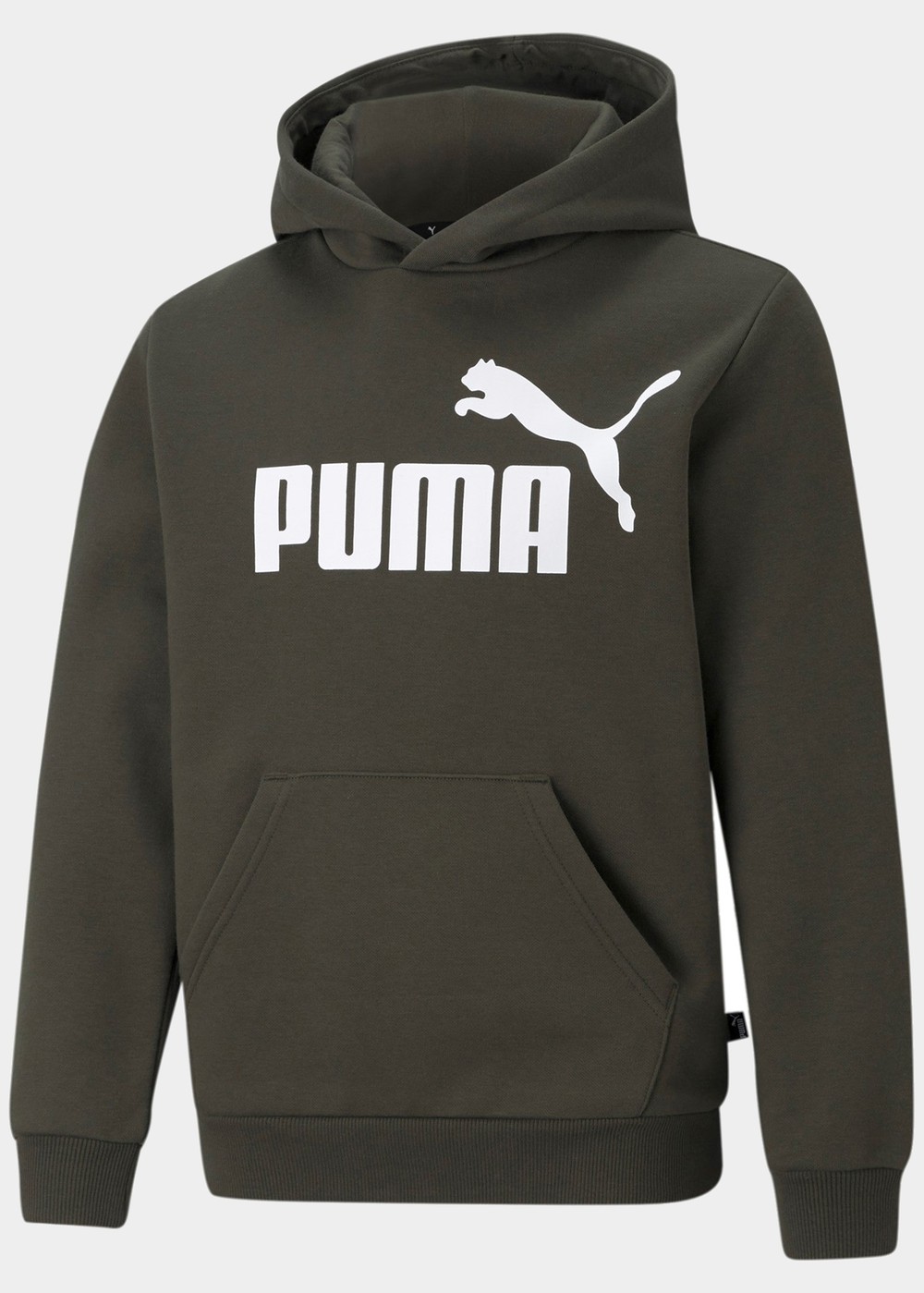 Ess Big Logo Hoodie Fl B, Forest Night, 116,  Hoodies