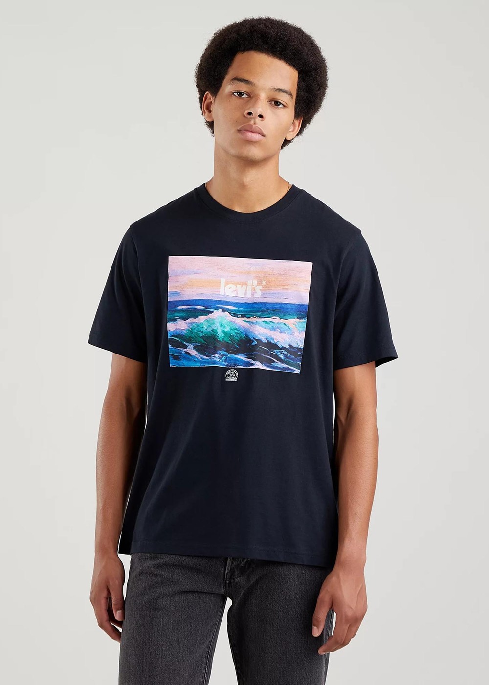 Ss Relaxed Fit Tee, Poster Wav, Xs,  T-Shirts