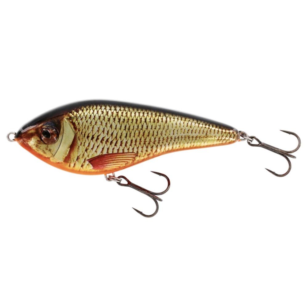 Swim Glidebait 10cm Low Floati, Real Rudd, 31g Lowflo,  Swimbaits