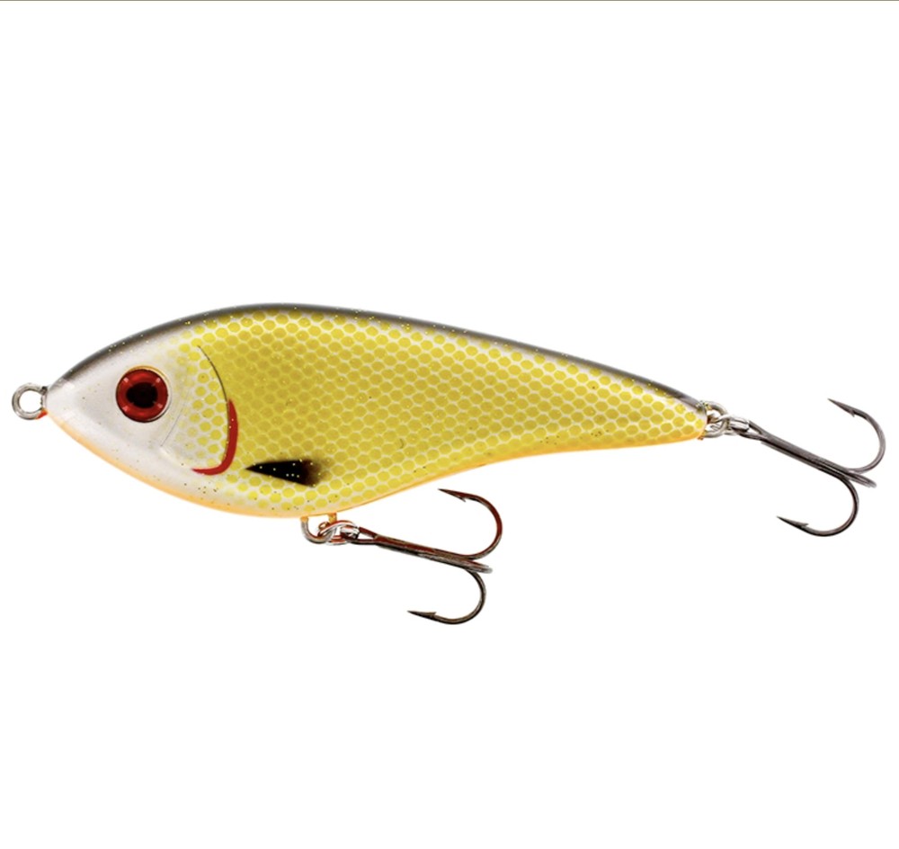 Swim Glidebait 15cm Sinking, Official Roach, 115g Sinking,  Swimbaits