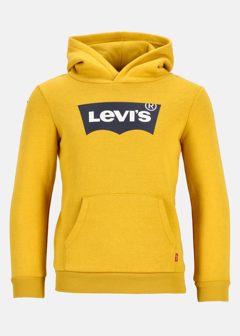 Lvb-Batwing Screenprint Hoodie, Golden Spice, 6,  Hoodies