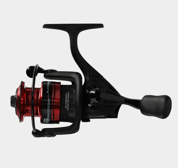 Black Max 20