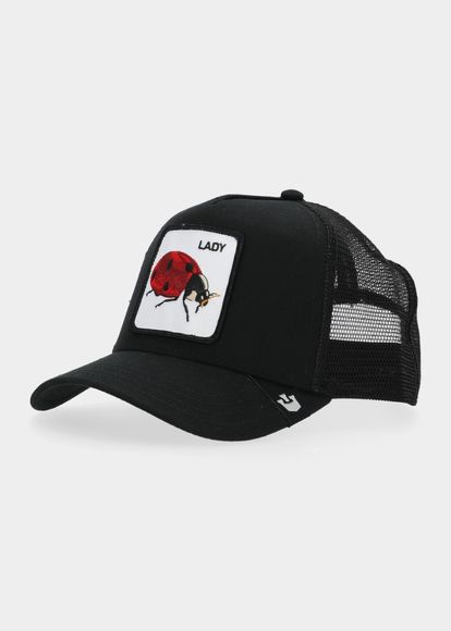 The lady bug
