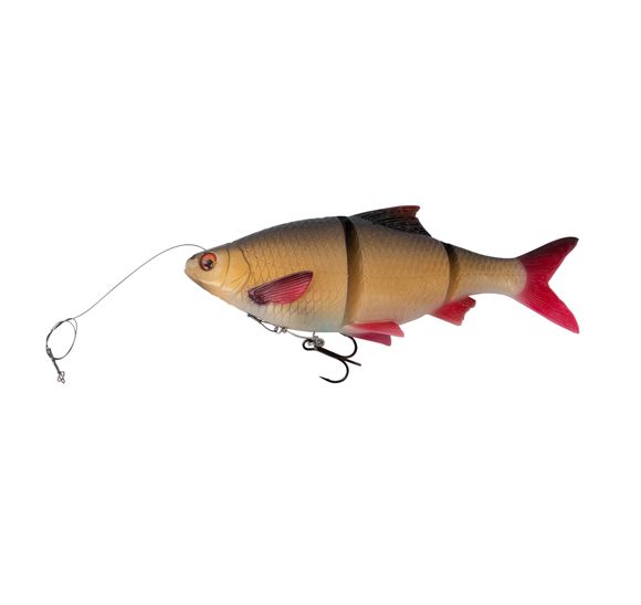 SG 3D Linethru Roach