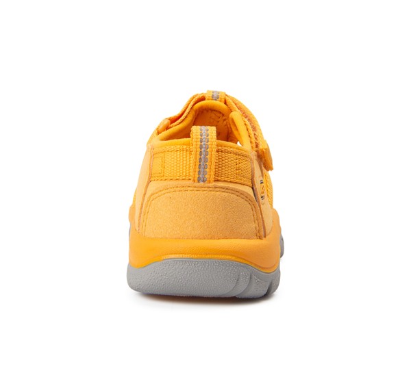 Newport H2 Newport H2