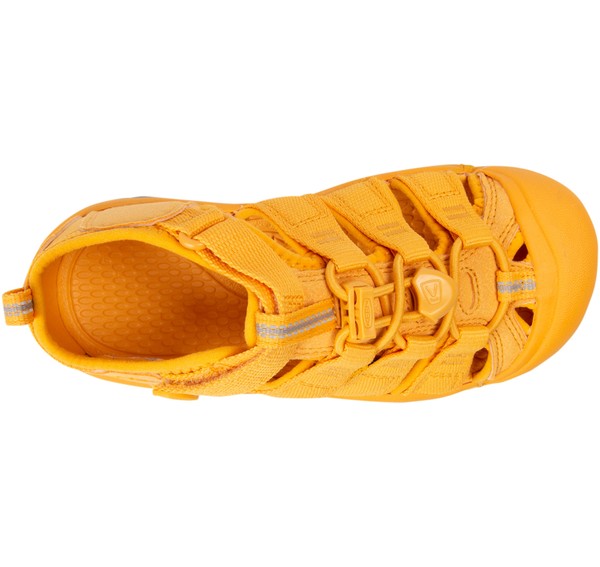 Newport H2 Newport H2