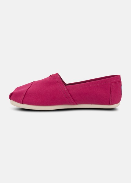 Barberry Pink Wm Barberry Pink Wm