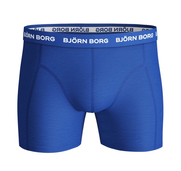 SHORTS SEASONAL SOLID 5p