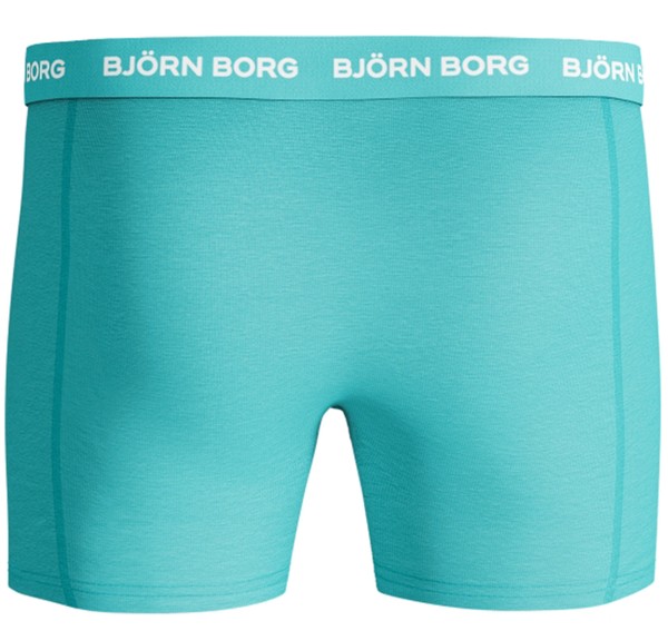 SHORTS SEASONAL SOLID 5p
