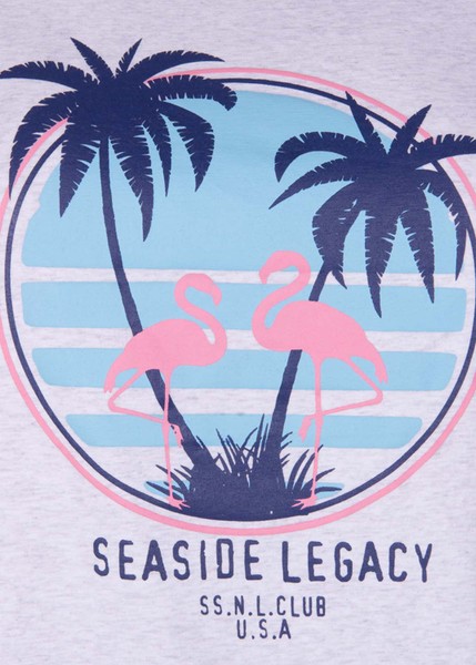 Aruba Flamingo Tee W Aruba Flamingo Tee W
