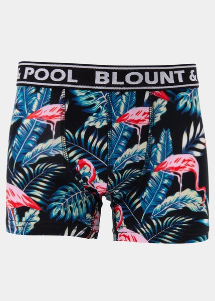 Boxer Shorts Jungle Fla 2p JR Boxer Shorts Jungle Fla 2p JR