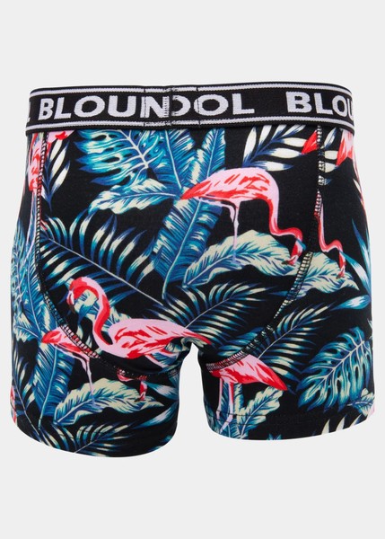 Boxer Shorts Jungle Fla 2p JR Boxer Shorts Jungle Fla 2p JR