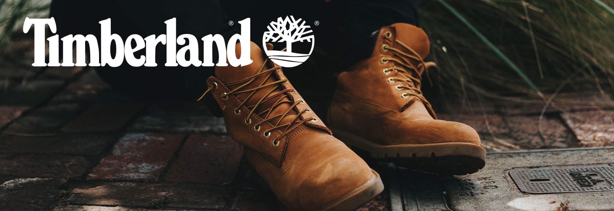TIMBERLAND | Boots & Shoes