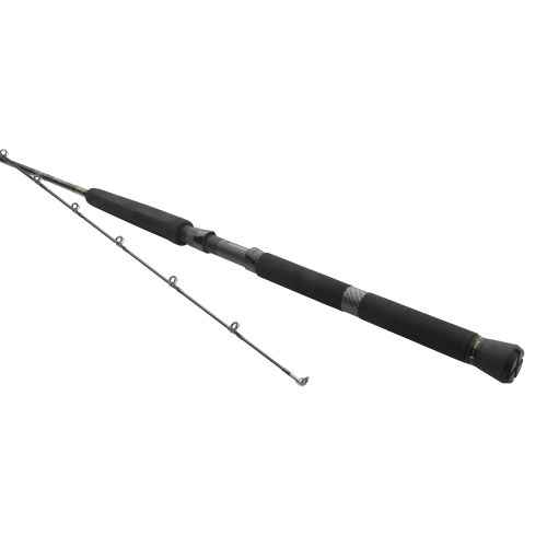 W3 Trolling 8'6"/255cm H 60-180g