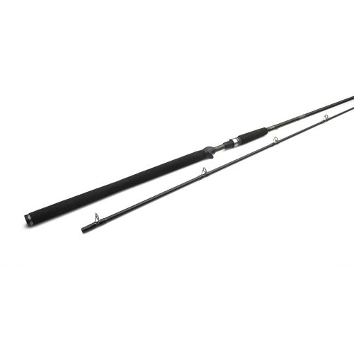 W3 Powercast-T 8'3"/248cm XXH 40-130g