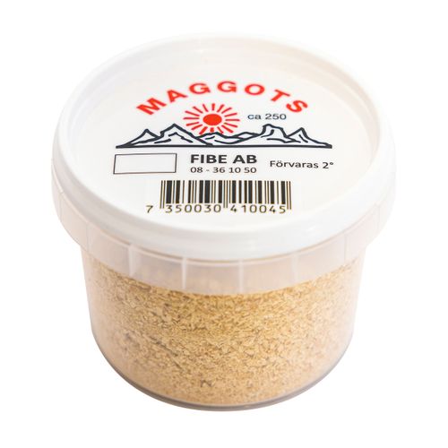 Maggots Vit
