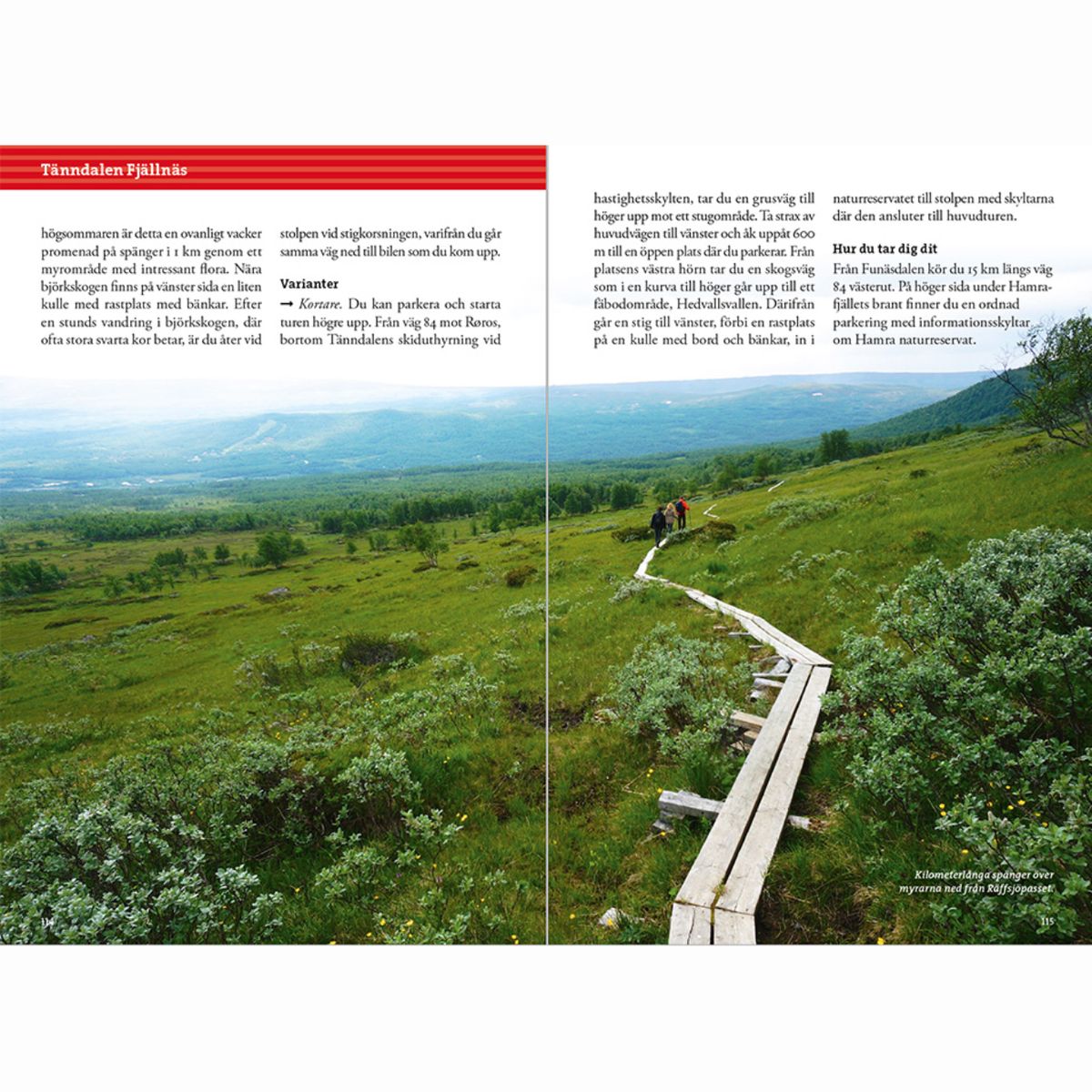 Fjällvandra i Härjedalen