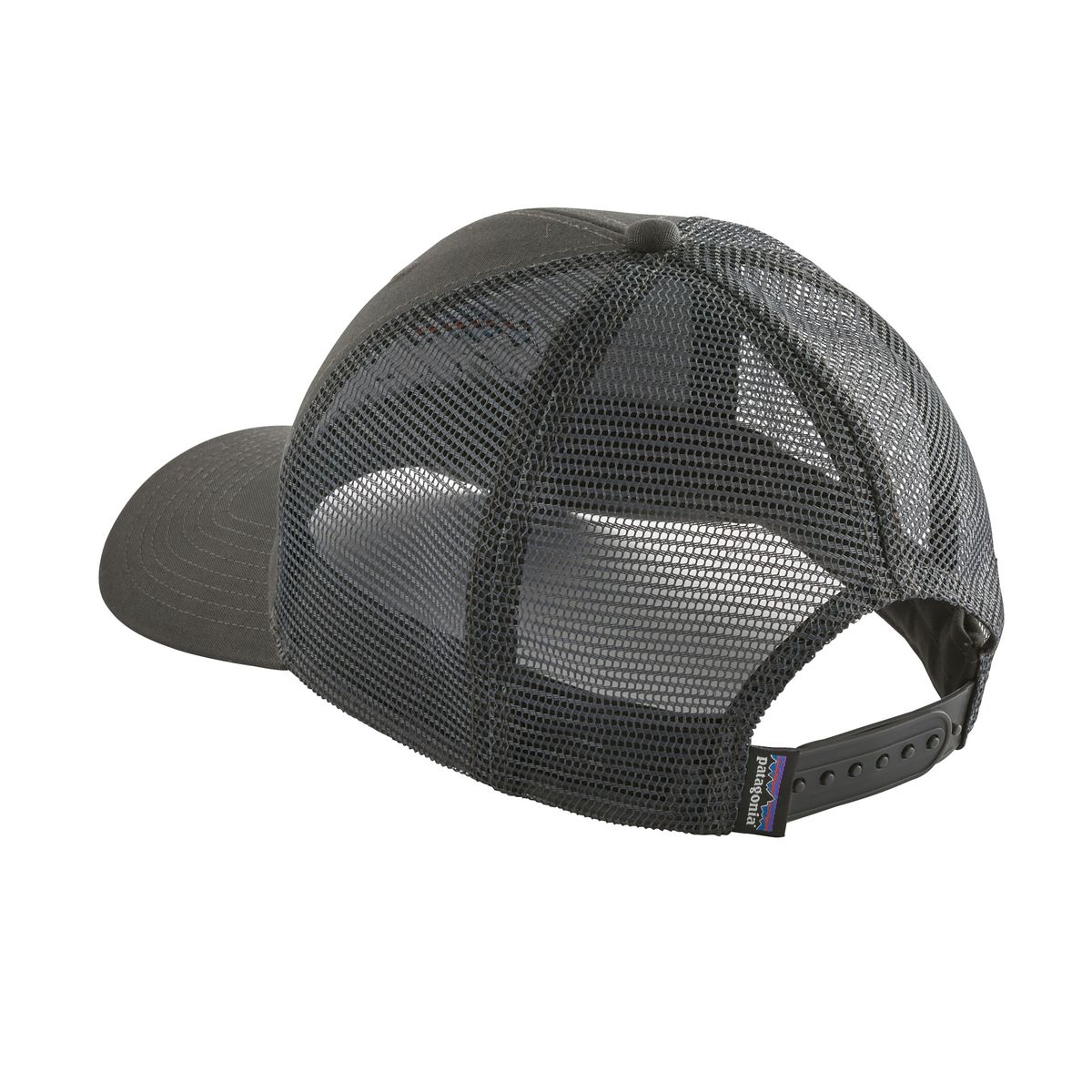 Patagonia Fitz Roy Bear Trucker Hat