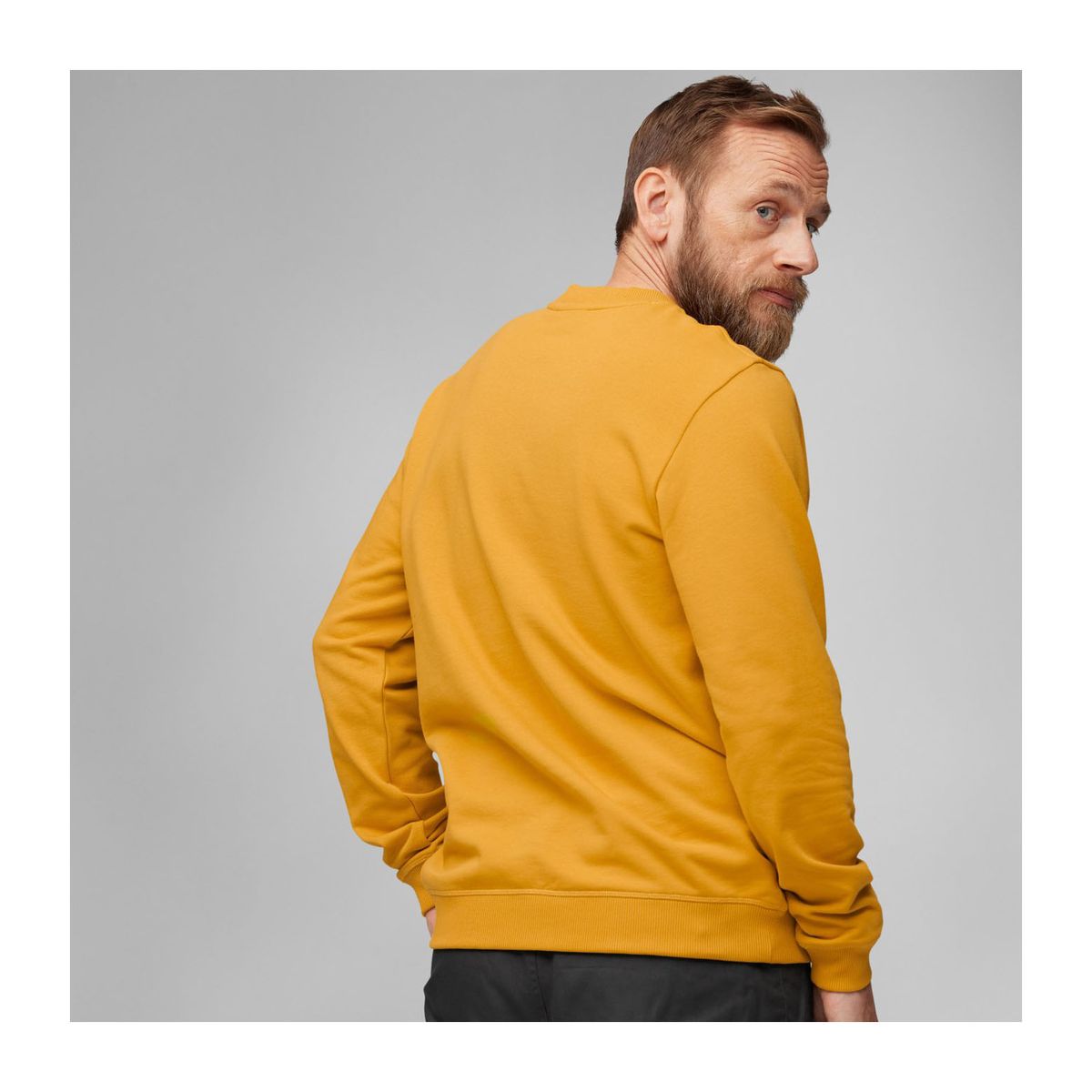 Fjällräven Logo Sweater M