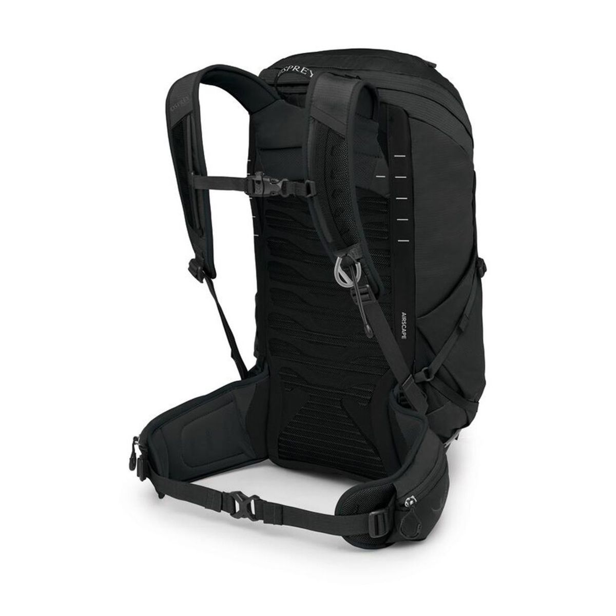 Talon 26