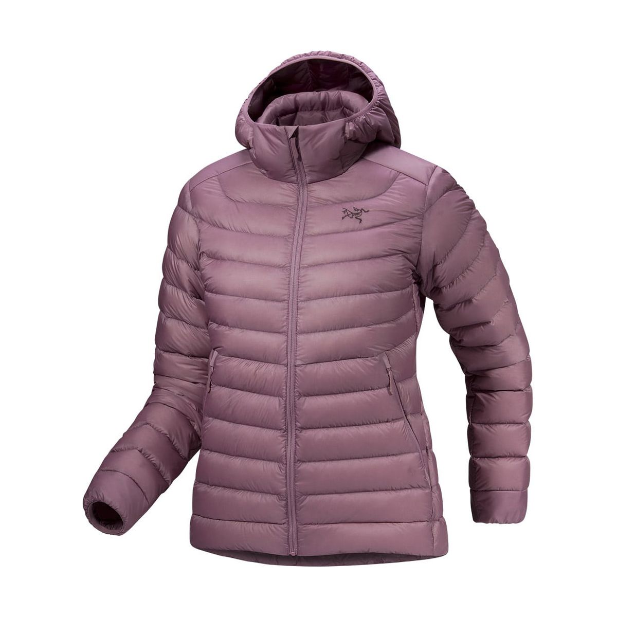 Cerium Hoody W Cerium Hoody W
