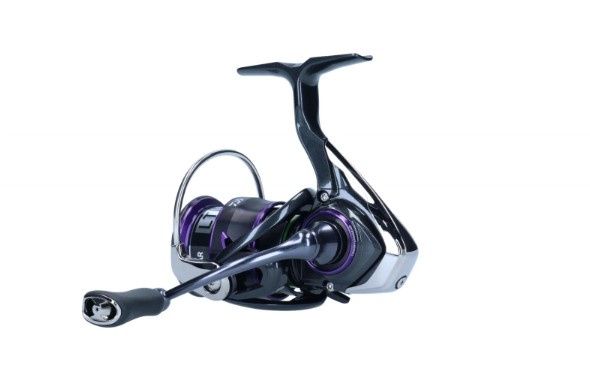 22 Prorex V LT 2000