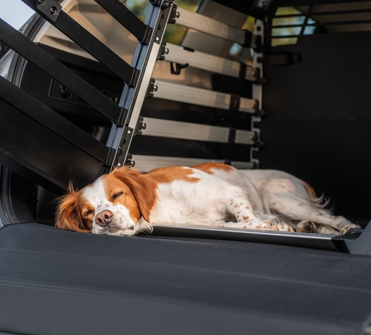 Dog mat Wide
