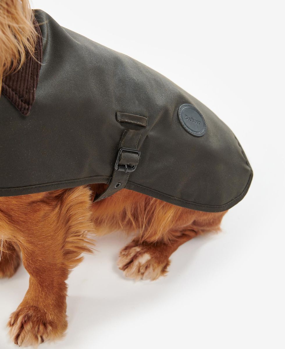 Wax Dog Coat Wax Dog Coat