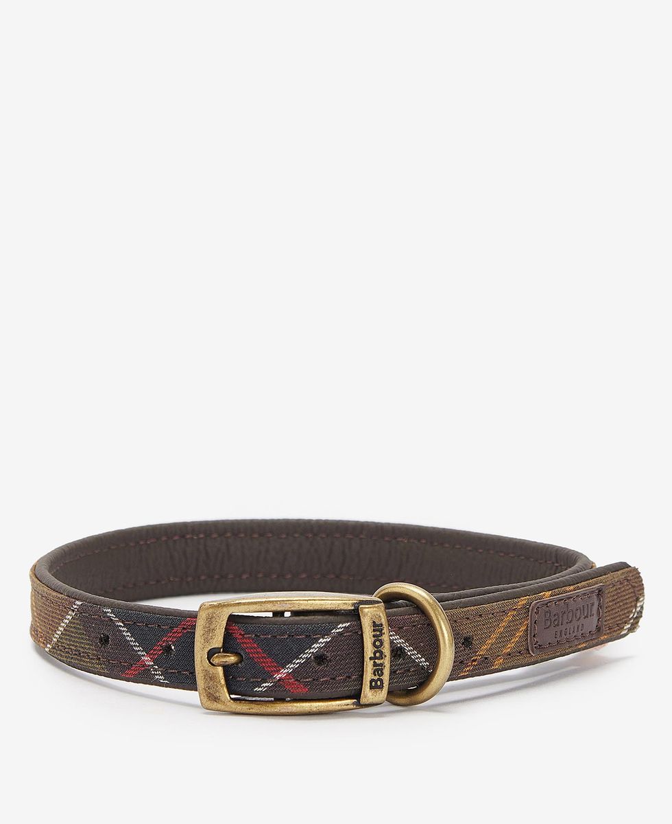 Tartan Dog Collar Tartan Dog Collar